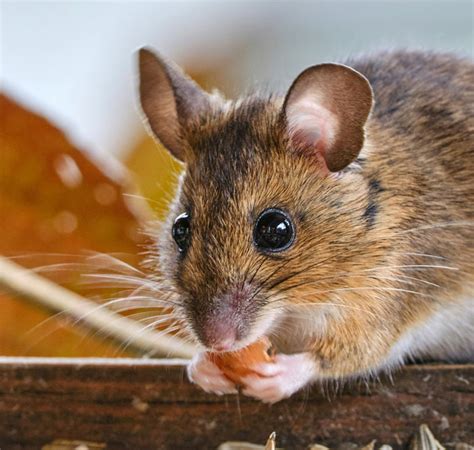 “Obliterating Everything”: 30 Of The Most Monumental Mistakes In ...