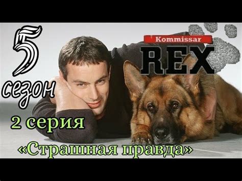 комиссар рекс 2 сезон серия 5 - Смотреть сериал онлайн бесплатно