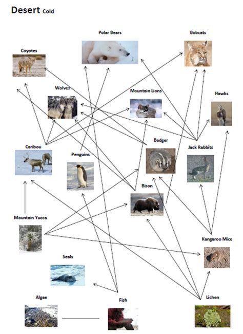 Food Webs - Welcome to the Desert!