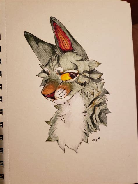 Rando cat by KatzandCola on DeviantArt