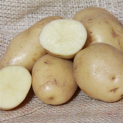 Potato House 🥔 Home of High Quality Seed Potatoes 🥔 Free UK Delivery