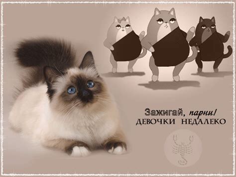 Анимационная картинка, открытка Зажигай, парни!. Гиф # 212159