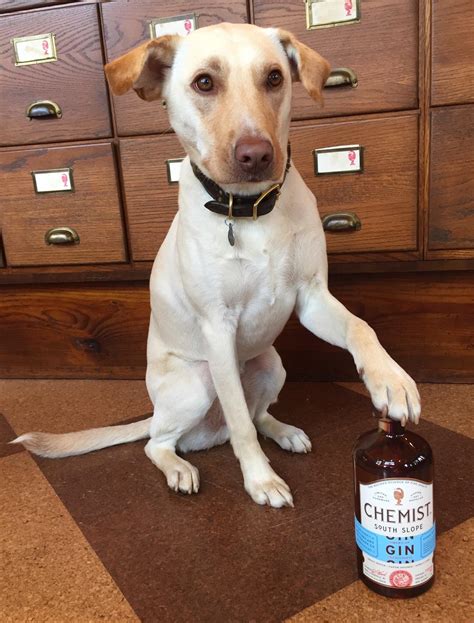 Best liquor rep in town! : aww