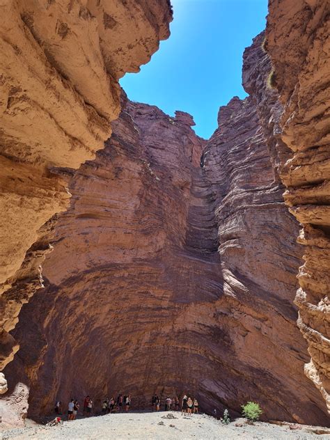 concha      concha stock  hd images