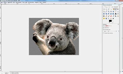 Как делать в GIMP прозрачный фон. Совет