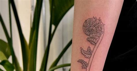 Fiddlehead Tattoos | Tattoofilter
