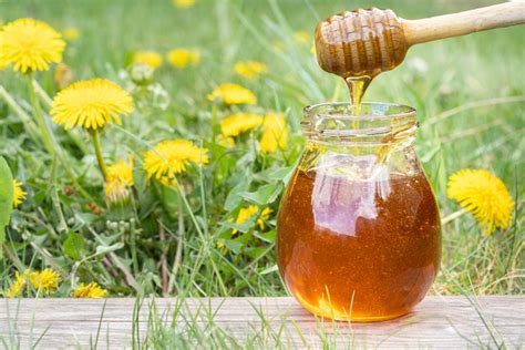 What Is Dandelion Honey? | How It's Produced & Benefits