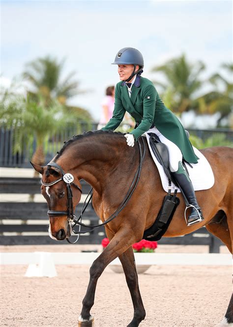 Fashion Forward - YourDressage