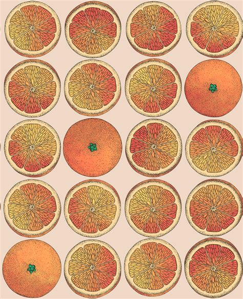 Fornasetti Selection Wallpaper Collection - Cole & Son