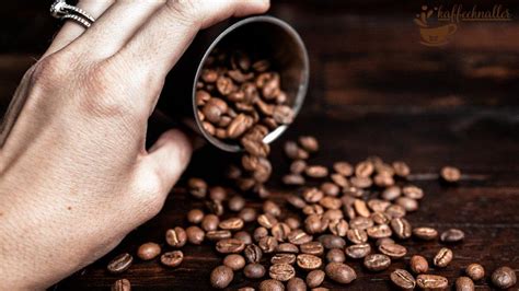 Delta Kaffee: Ihre ultimative Anleitung zu Portugals führendem ...