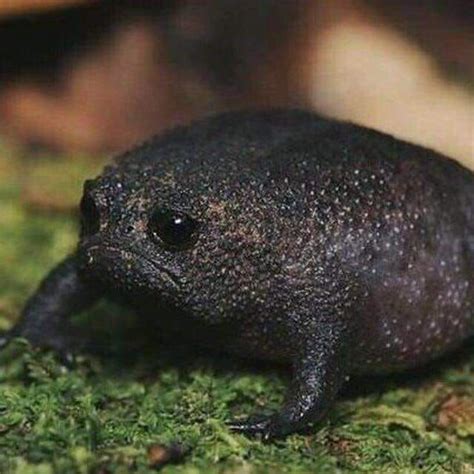 Pin on Natures Wonders