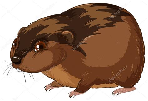 big mouse stock vector  cinteractimages