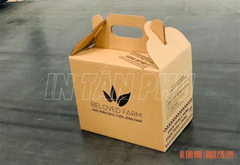 In hộp carton giá xưởng