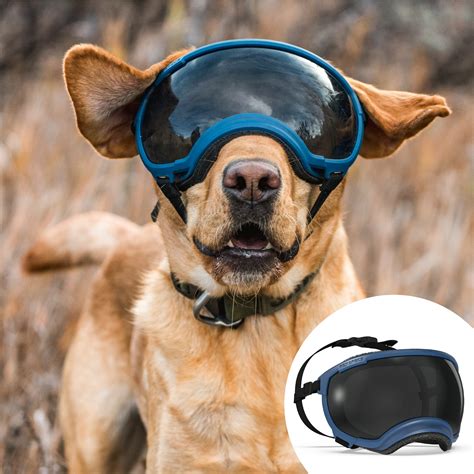 Tactical Dog Glasses at Randall Maupin blog