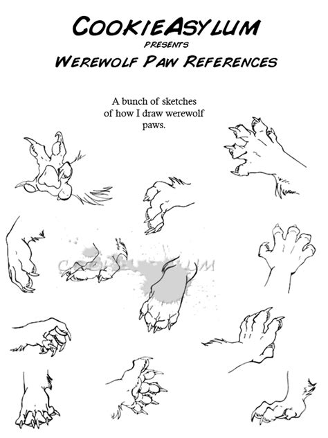 Werewolf Paw Ref by CookieAsylum on DeviantArt