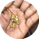 XP Deus 2 performs extremely well in all terrain and conditions, both ...