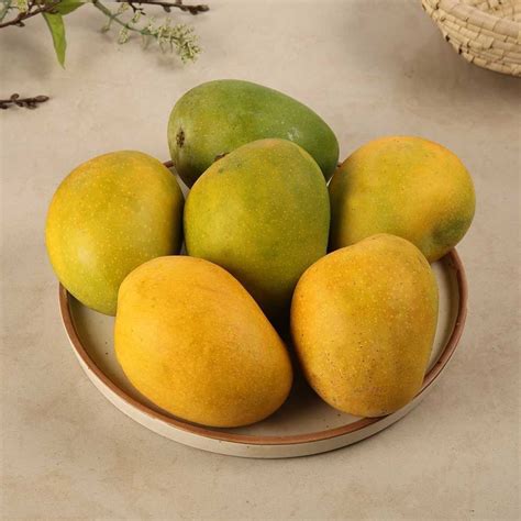 alphonso mango ratnagiri hapoos aam price buy    price