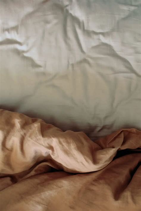 how to get rid of fleas in your bed