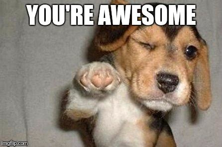 You Are Awesome Meme - Captions Cute Viral
