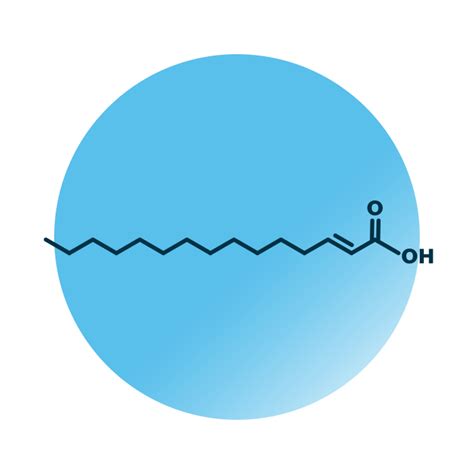 fatty acid analysis lipid analysis lipotype gmbh