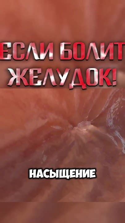 Что делать если болит желудок! #здоровье #медицина #желудок #польза # ...