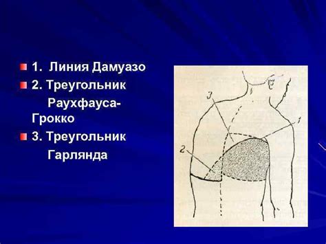 Кафедра пропедевтики внутренних болезней Курский Государственный ...