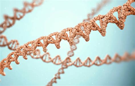 ”Kerran kirjoitettu voidaan säilyttää ikuisesti” – dna-molekyyliä voi ...