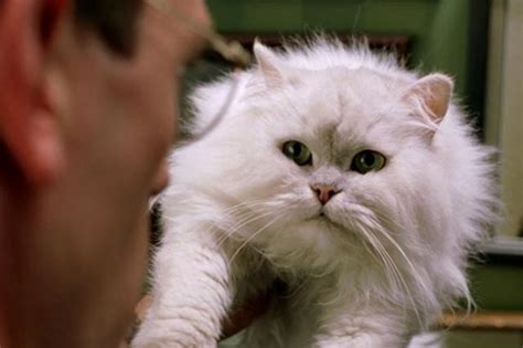 Stuart Little On Netflix: Those Parents Are Monsters