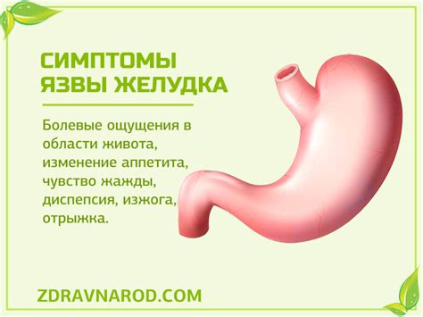Язва желудка | Народная медицина