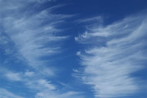 Puffy+Nipple Photos, Download The BEST Free Puffy+Nipple Stock Photos