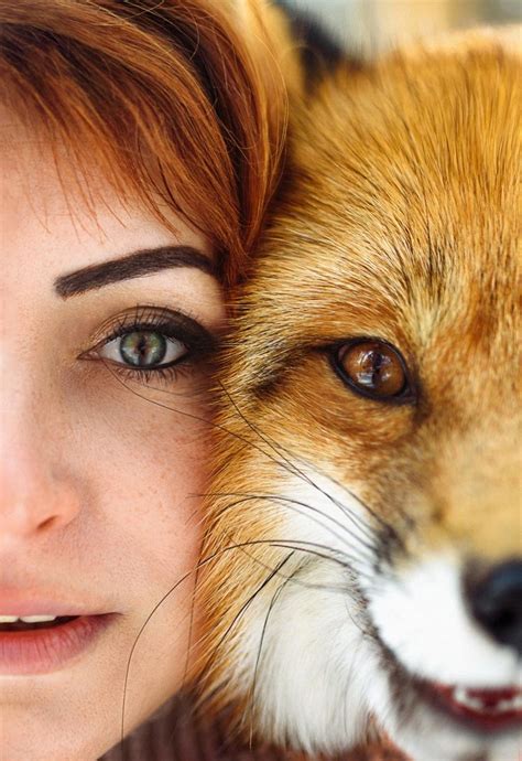 Лисьи глаза | Renard