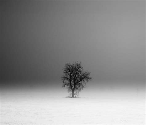Философские черно-белые пейзажи от канадского фотографа