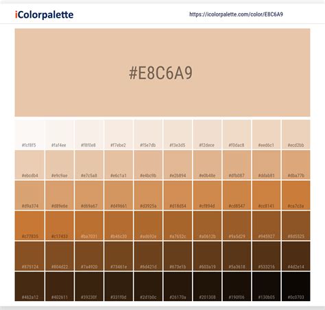 Pantone 726 U Color | Hex color Code #E8C6A9 information | Hsl | Rgb ...