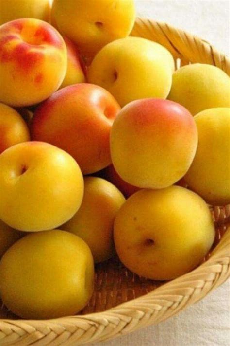 Pin by Ольга Ольга on фрукты- ягоды | Fruits and vegetables pictures ...