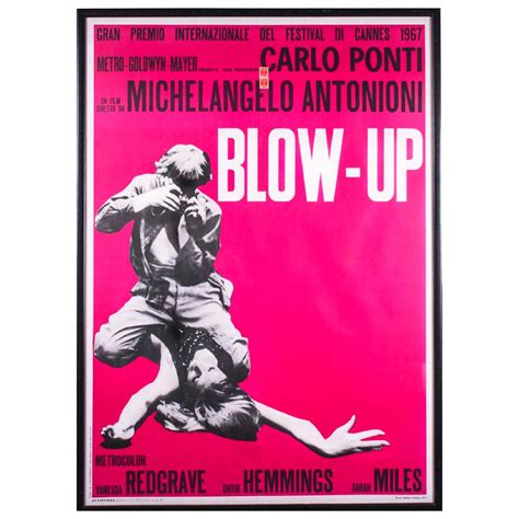 Michelangelo Antonioni Blow Up, 1966, Film Large Print, Signed, Italian