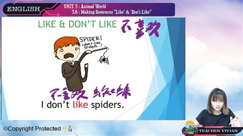 S1_ENG_03_09 Making Sentences Using ‘Like’ & ‘Don’t Like’ – Jom Tuisyen