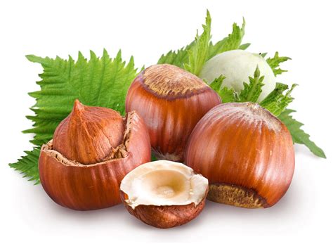 grow  nut tree country life