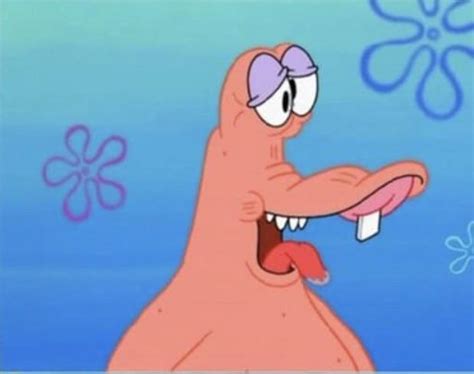 patrick star face freeze te amo patricio estrella  antonia sanchez