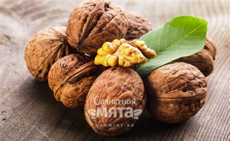 Грецкий орех – описание и сорта, состав и калорийность, польза и ...