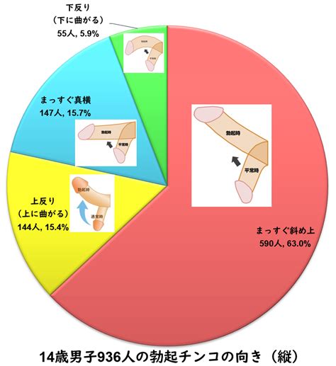 中学生・高校生のチンコとセックスの調査 中学生のチンコ