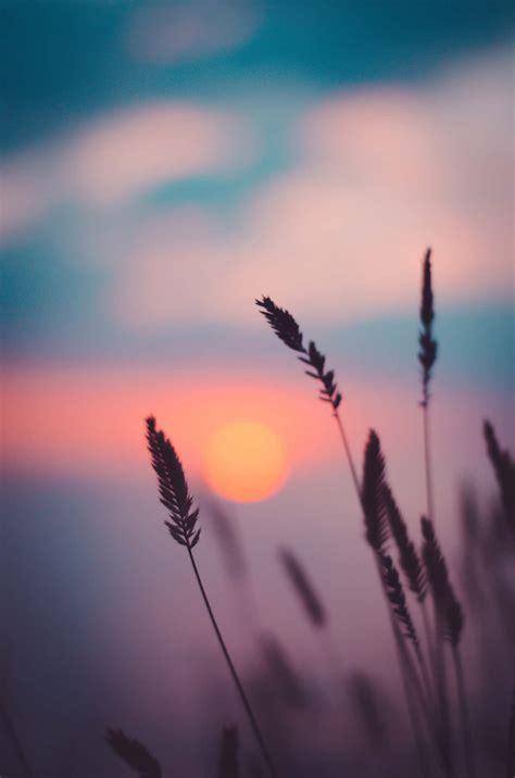 dark aesthetic sunset wallpapers   unique touch