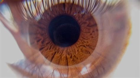 "Ojo Humano" Images – Browse 62 Stock Photos, Vectors, and Video ...