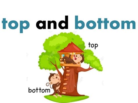 Top and bottom