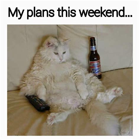 My Plans this Weekend