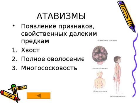 Презентация на тему "Место человека в системе органического мира"