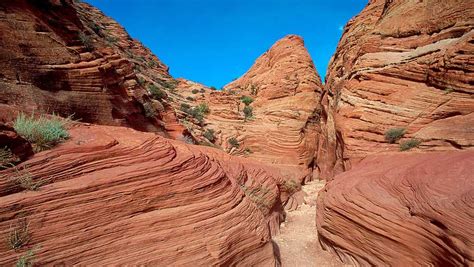 Florida men killed in canyon flash flood