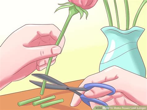 how to make roses in a vase last longer