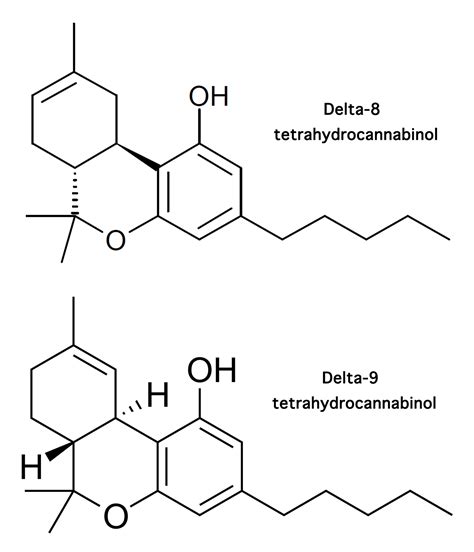 What is Delta-8 THC? - HOLYOKE CANNABIS Dispensary