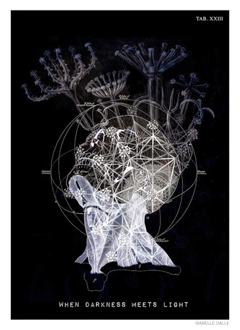 antblog: Isabelle Dalle