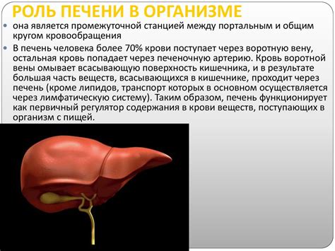 Биохимия печени - презентация онлайн